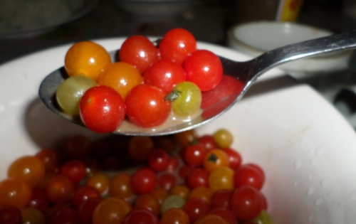 SOMETHING NEW: A Micro Cherry Tomato