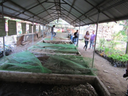 SOLSONA, ILOCOS NORTE: Tops In Vermiculture