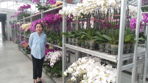 SEN. CYNTHIA VILLAR: She Bats For Agri-tourism In The Philippines